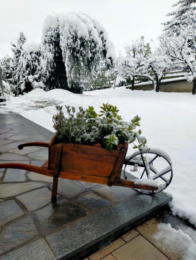 Villa La Sarrolein Aosta Exterior foto