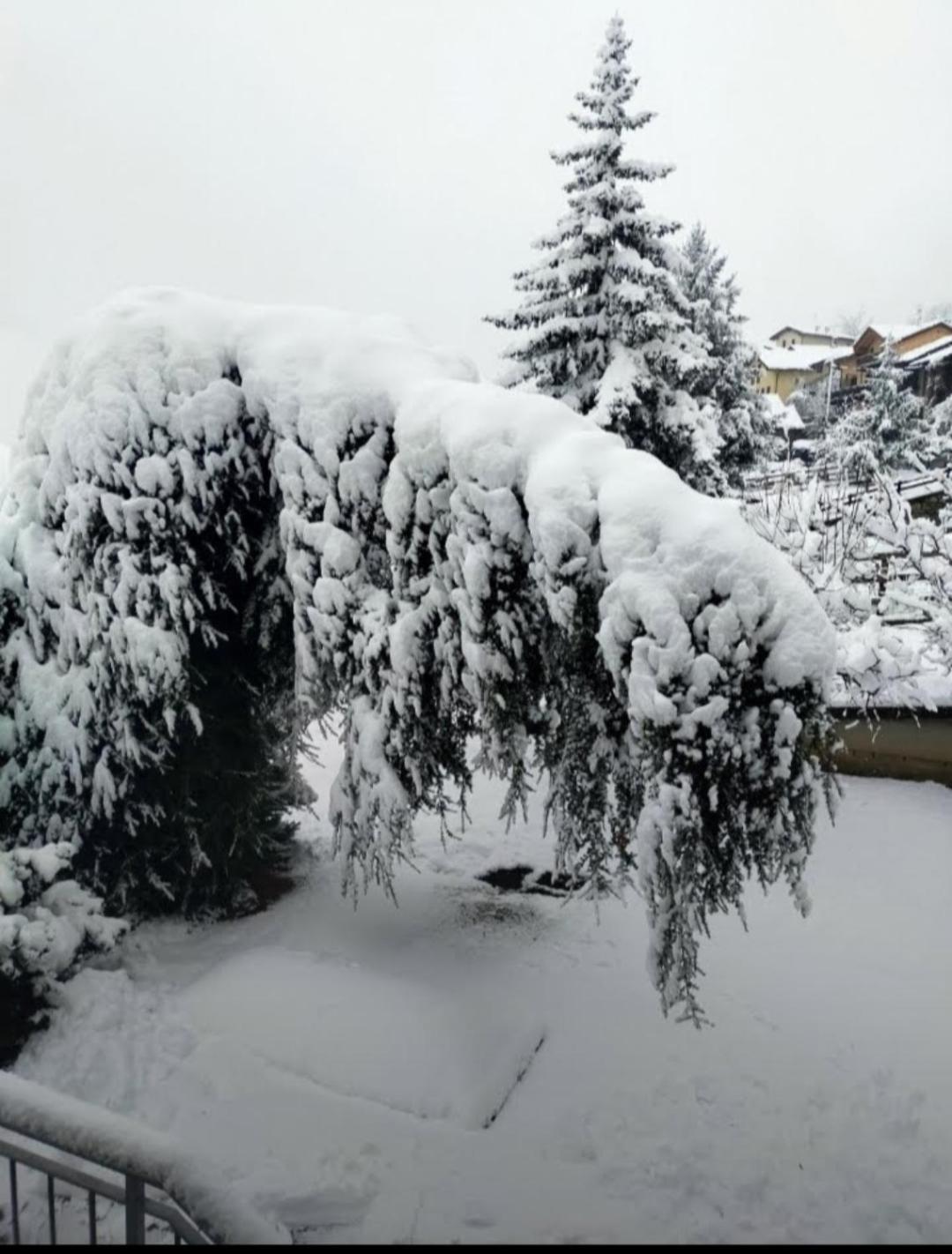 Villa La Sarrolein Aosta Exterior foto